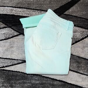 BUCKLE DAYTRIP LEO EMBROIDERED MINT GREEN DENIM CAPRI